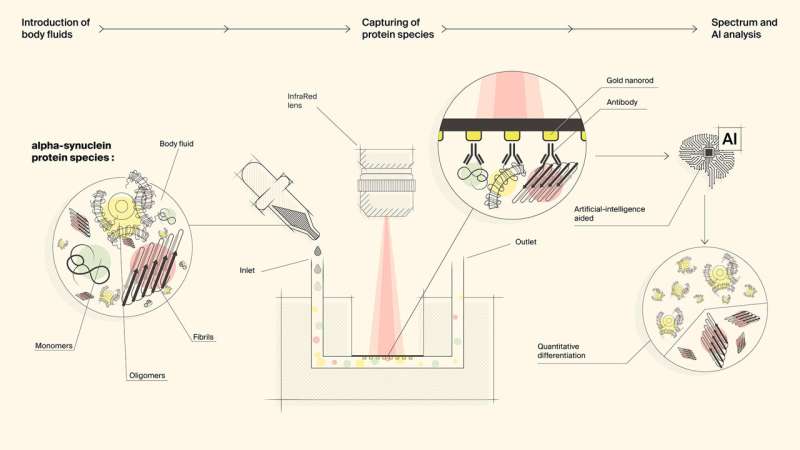 一种新型生物传感器用于检测神经退行性疾病蛋白质